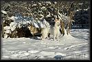 82 snow * 3872 x 2592 * (13.42MB)